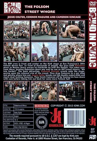 The Folsom Street Whore(Kink.com) at sexvideoall.com(back cover)