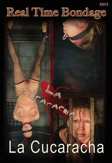 Real Time Bondage - La Cucaracha | Belrose | DVD