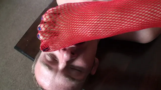 DV137401DV137401815