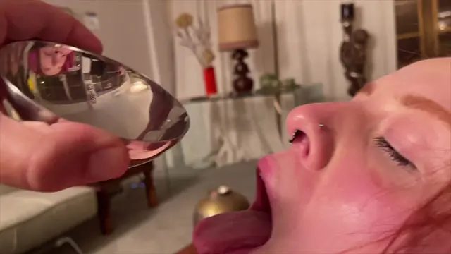 DV155394DV155394829